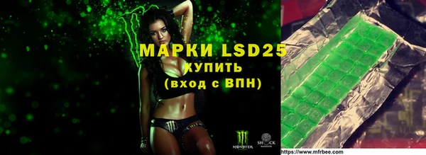 МДПВ Ельня