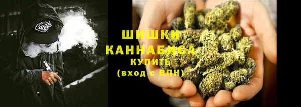 МДПВ Ельня