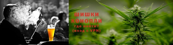МДПВ Ельня