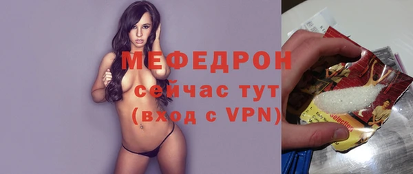 МДПВ Ельня