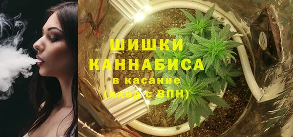 spice Елабуга