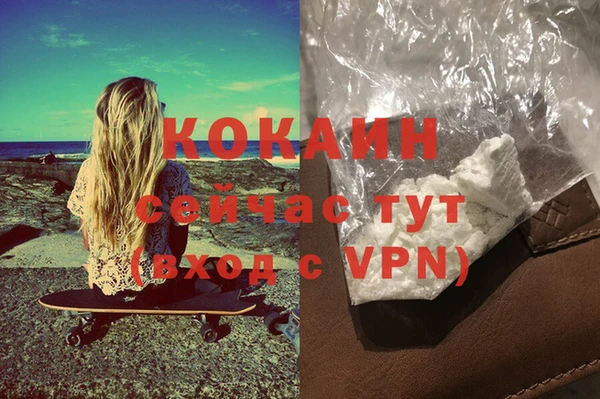 МДПВ Ельня