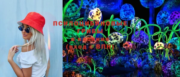 МДПВ Ельня