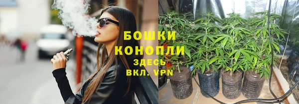 МДПВ Ельня