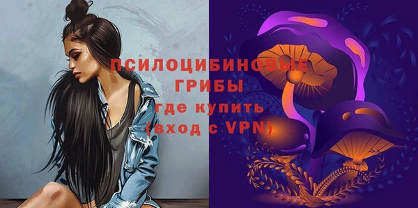 а пвп мука Елизово