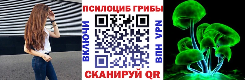 Купить где  Киселёвск  Галлюциногенные грибы Cubensis 